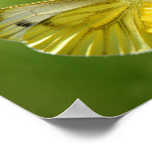 Butterfly Poster (Hoek)
