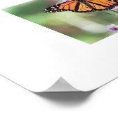 Butterfly Poster (Hoek)