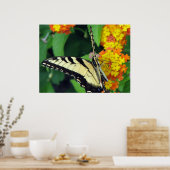 Butterfly Poster (Keuken)