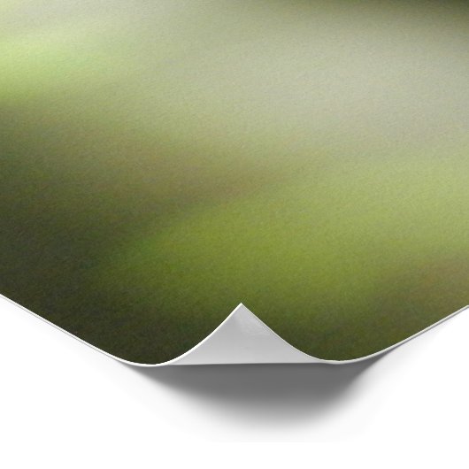 Butterfly Poster (Hoek)