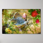 Butterfly Poster (Voorkant)
