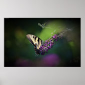 Butterfly Poster (Voorkant)