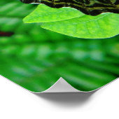 Butterfly Poster (Hoek)