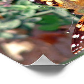 Butterfly Poster (Hoek)