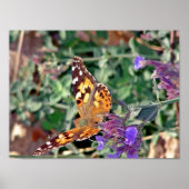 Butterfly Poster (Voorkant)