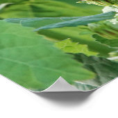 Butterfly Poster w/ Verse over Gods Sterkte (Hoek)