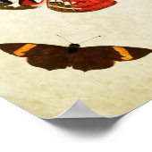 Butterfly Print 018 (Hoek)