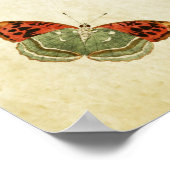 Butterfly Print 025 (Hoek)