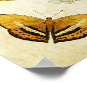  Butterfly Print 046 (Hoek)