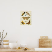  Butterfly Print 046 (Keuken)