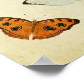Butterfly Print 058 (Hoek)