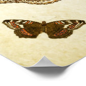 Butterfly Print 062 (Hoek)