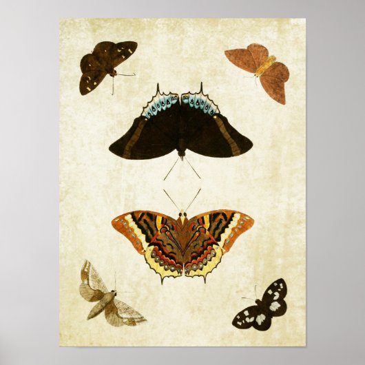  Butterfly Print 074 (Voorkant)