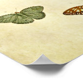 Butterfly Print 194 (Hoek)