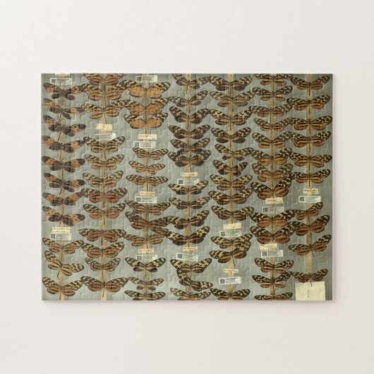 Butterfly puzzel (Horizontaal)