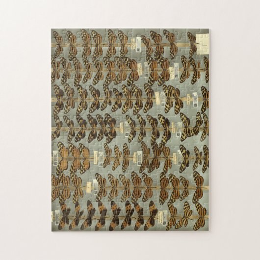 Butterfly puzzel (Verticaal)