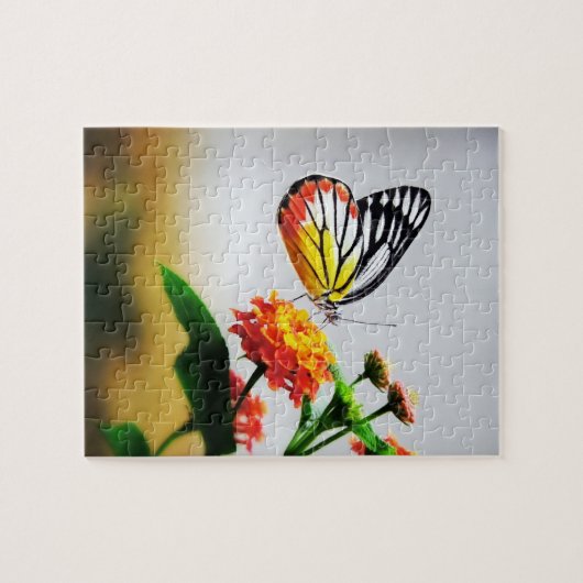 Butterfly - Puzzles Legpuzzel (Horizontaal)