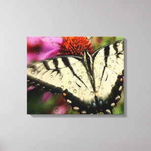 Butterfly Quad Canvas Wrap