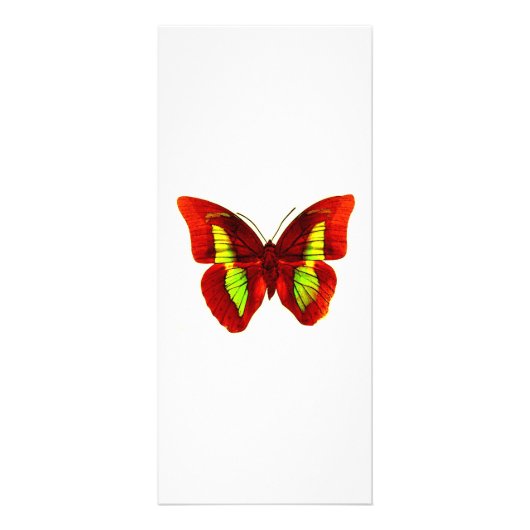 Butterfly-rackkaart Reclamekaart (Voorkant)