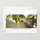 Butterfly Rainforest - Gainesville, FL 005 Briefkaart (Voorkant / Achterkant)