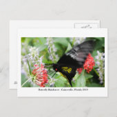 Butterfly Rainforest - Gainesville, FL 006 Briefkaart (Voorkant / Achterkant)
