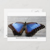 Butterfly Rainforest - Gainesville, FL 010 Briefkaart (Voorkant / Achterkant)