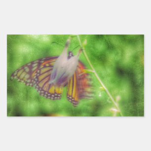 Butterfly Rechthoekige Sticker