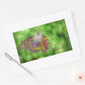 Butterfly Rechthoekige Sticker (Envelop)