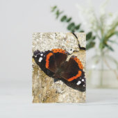 Butterfly - Red Admiral Briefkaart (Staand voorkant)