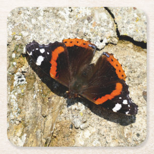 Butterfly - Red Admiral Kartonnen Onderzetters