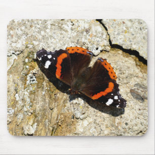 Butterfly - Red Admiral Muismat