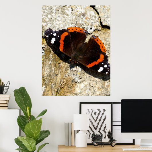 Butterfly - Red Admiral Poster (Thuiskantoor)