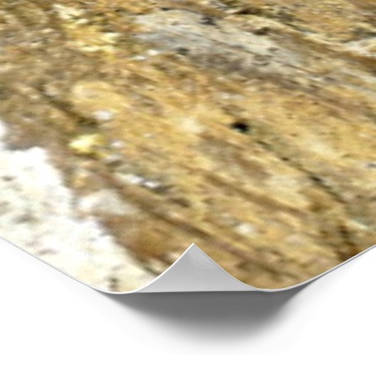 Butterfly - Red Admiral Poster (Hoek)