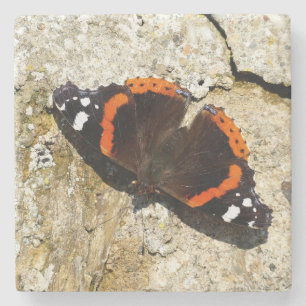 Butterfly - Red Admiral Stenen Onderzetter