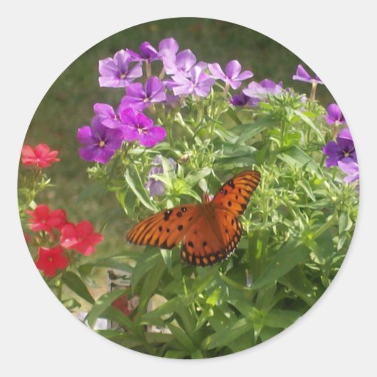 Butterfly Ronde Sticker (Voorkant)