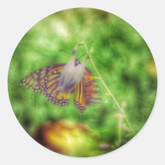 Butterfly Ronde Sticker (Voorkant)