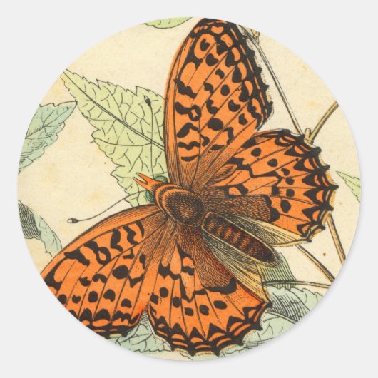 Butterfly Ronde Sticker (Voorkant)