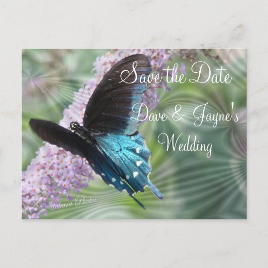 Butterfly Save the Date-aanpassen Aankondigingskaart (Voorkant)