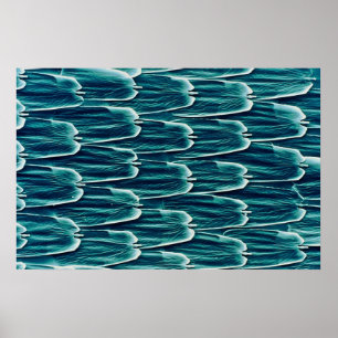 Butterfly - schalen poster