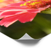 Butterfly Scripts Poster 2 Corinthians (Hoek)