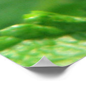 Butterfly-serie Poster (Hoek)