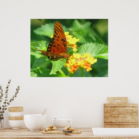 Butterfly-serie Poster (Keuken)