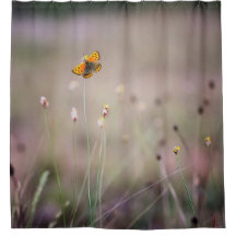 Butterfly Shower Curtain