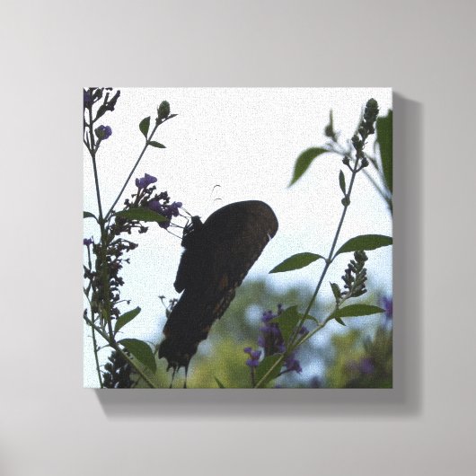 Butterfly Silhouette Canvas Afdruk (Voorkant)