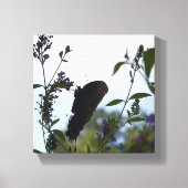 Butterfly Silhouette Canvas Afdruk (Voorkant)