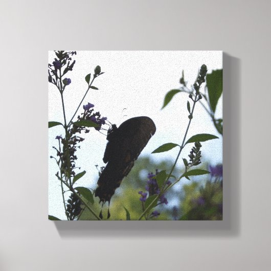 Butterfly Silhouette Canvas Afdruk (Voorkant)