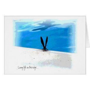 Butterfly Sillouette Graphics