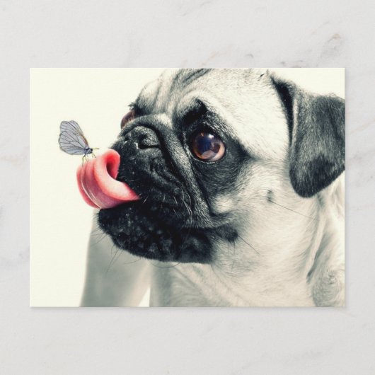 Butterfly Sitting on Pugs Tongue Briefkaart (Voorkant)