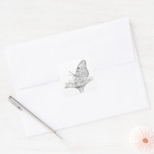 Butterfly Sketch tekening