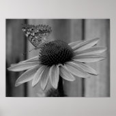 Butterfly sluiten poster (Voorkant)